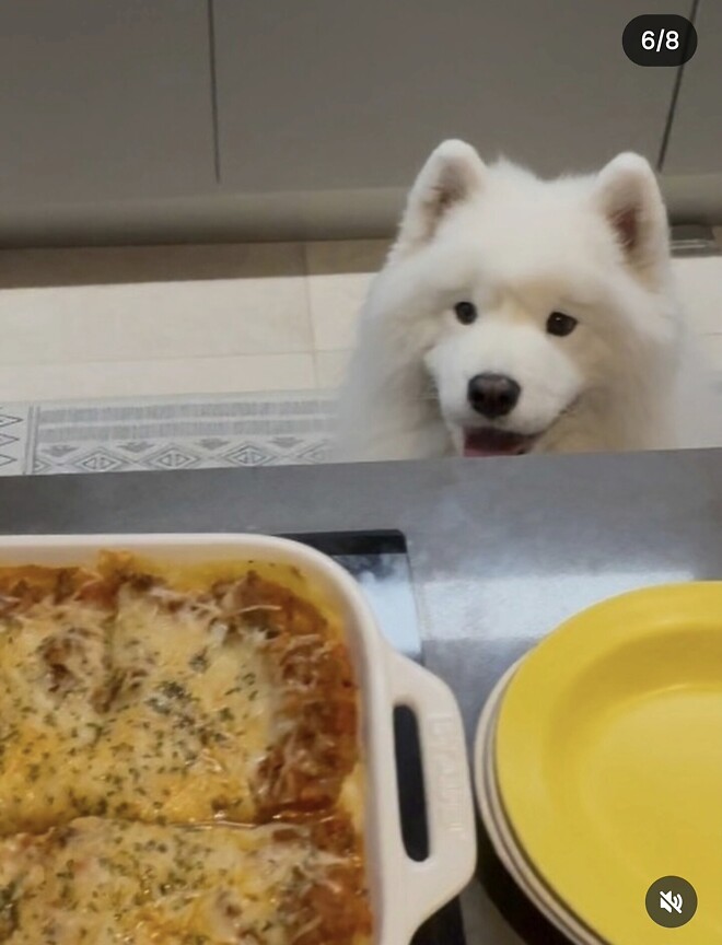 Merry Christmas&hearts;︎