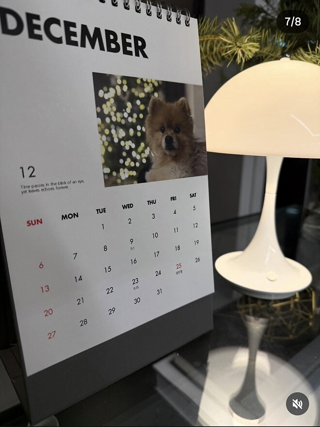 Merry Christmas&hearts;︎