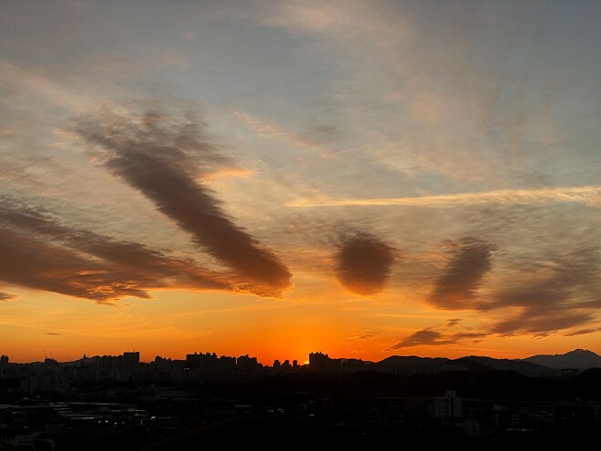 형들 2025년 고생했어여