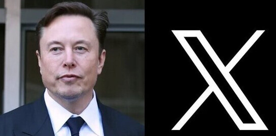 🦐)슈카월드 주제예측