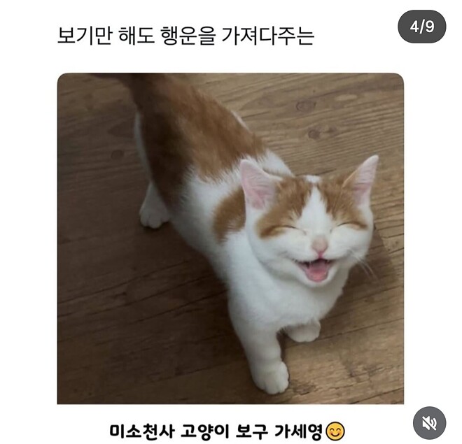 내가 주총 후기를 안 쓴 이유