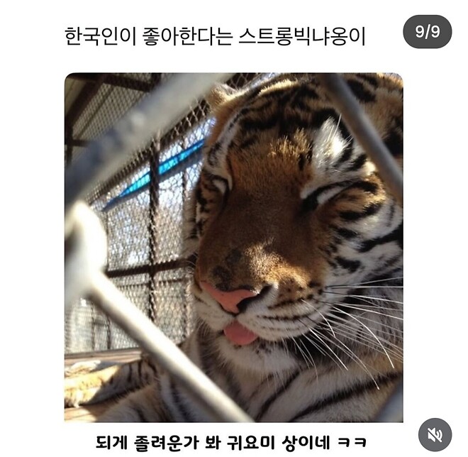 내가 주총 후기를 안 쓴 이유