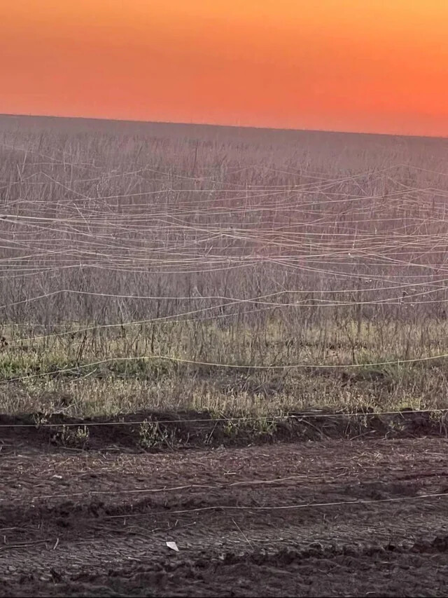 &#44305;&#52992;&#51060;&#48660;&#47196; &#46244;&#45934;&#51064; &#50864;&#53356;&#46972;&#51060;&#45208; &#51204;&#51109;