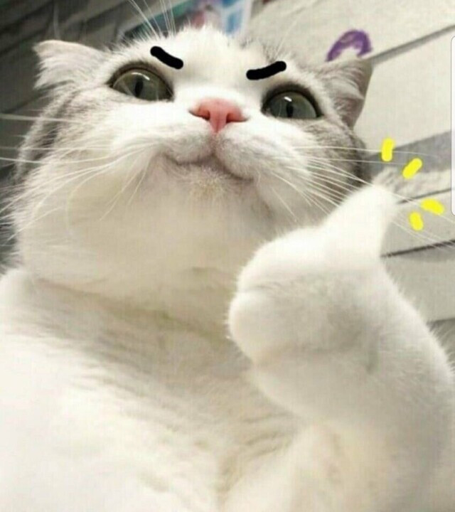 KBS 열린음악회 | 대성- 한도초과, 날봐귀순