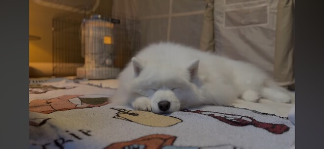 현실에서나 인기 많고 싶소