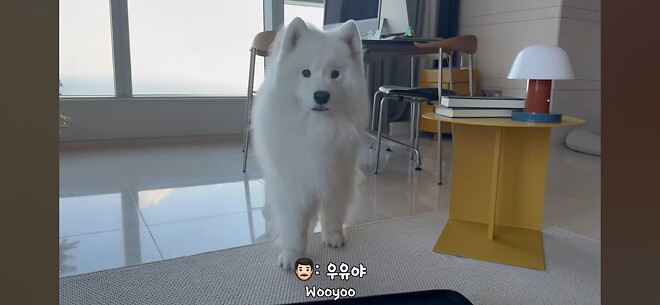 우유네 가족 힘내쟈...!