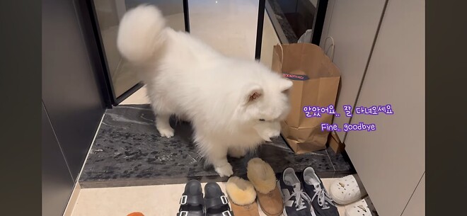 우유네 가족 힘내쟈...!