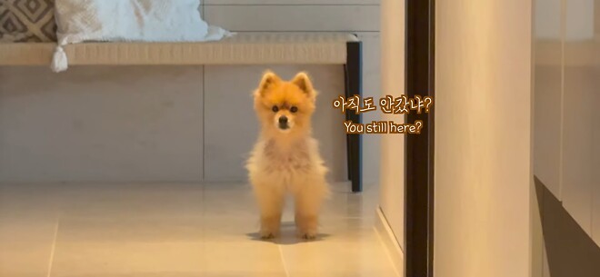 우유네 가족 힘내쟈...!