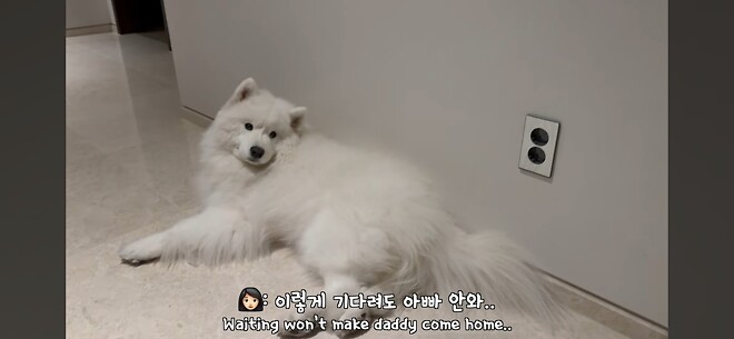 우유네 가족 힘내쟈...!