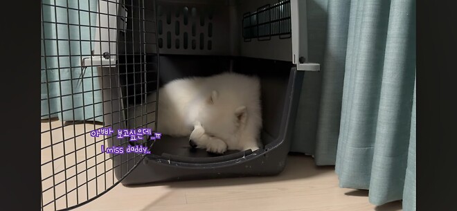 우유네 가족 힘내쟈...!