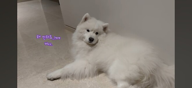 우유네 가족 힘내쟈...!