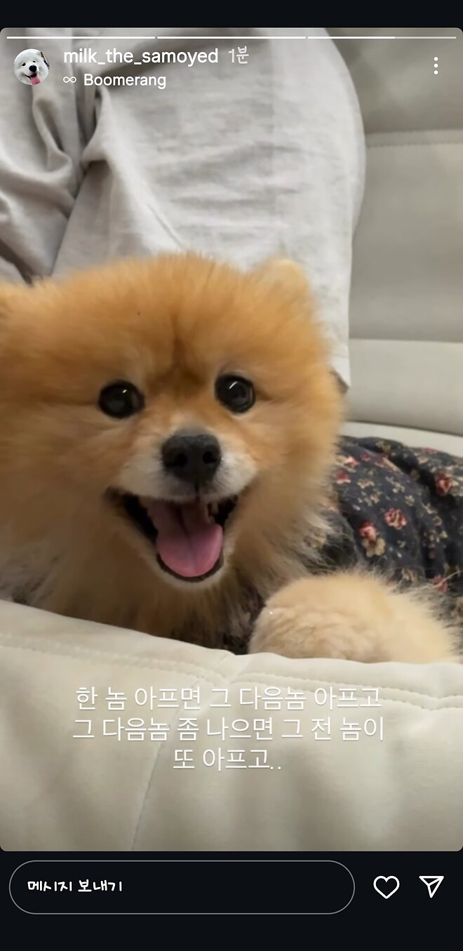 우유네 가족 힘내쟈...!