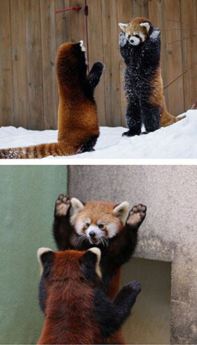 이 분 주지금 출연시키시죠?