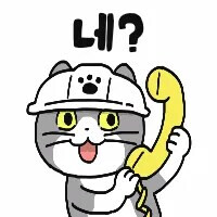 [지식은 지금] 출간 안내