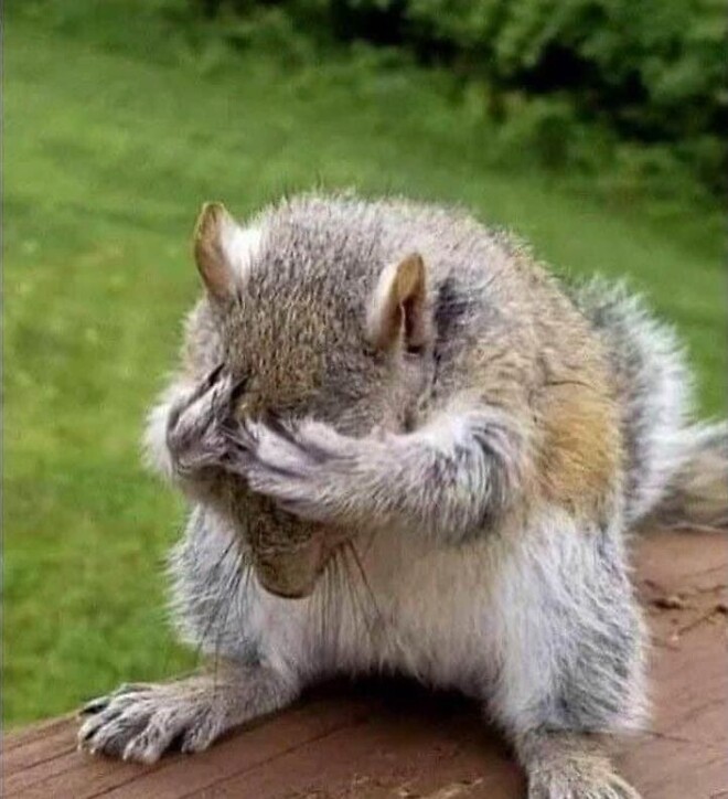 전세와 자유 vs 본가에서 눈치보며 투자금 늘리기