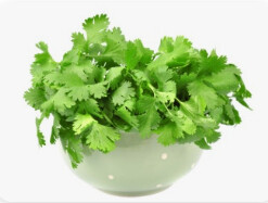 내 인생 주식 수익률 신기록 갱신 ver.2