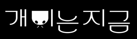 니니의 뉴컨텐츠 질문받습니다 질문~~~