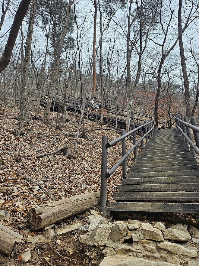 260104 오늘의 등산(계룡산 동학사 코스)
