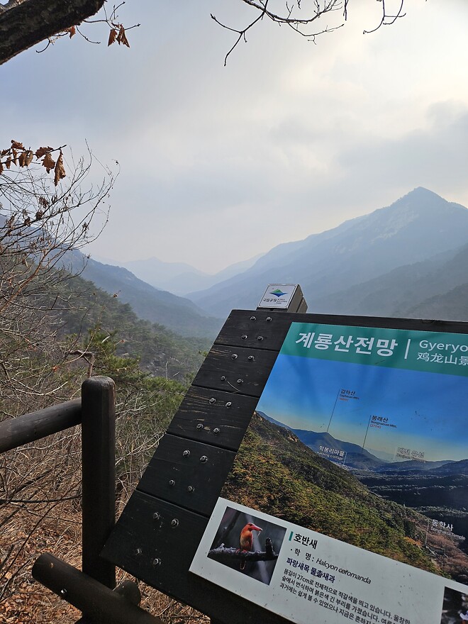 260104 오늘의 등산(계룡산 동학사 코스)