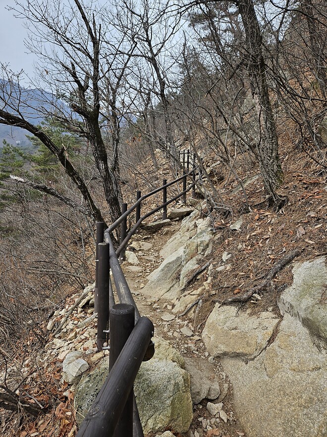 260104 오늘의 등산(계룡산 동학사 코스)