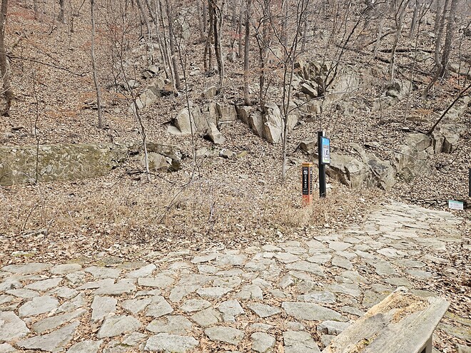 260104 오늘의 등산(계룡산 동학사 코스)