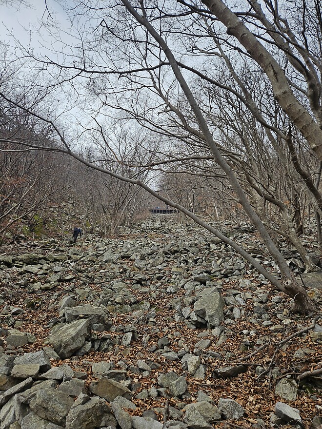 260104 오늘의 등산(계룡산 동학사 코스)