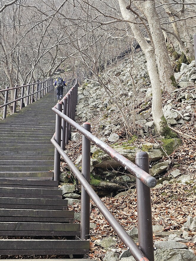 260104 오늘의 등산(계룡산 동학사 코스)