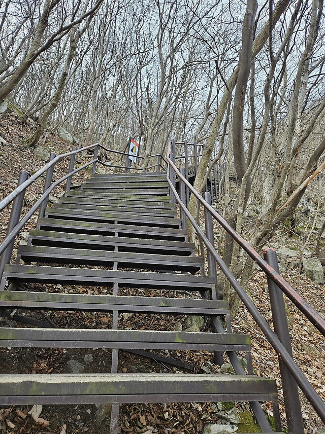 260104 오늘의 등산(계룡산 동학사 코스)
