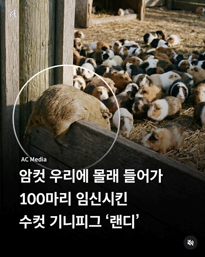 5천피 앞두고 싱글벙글 할 교수님