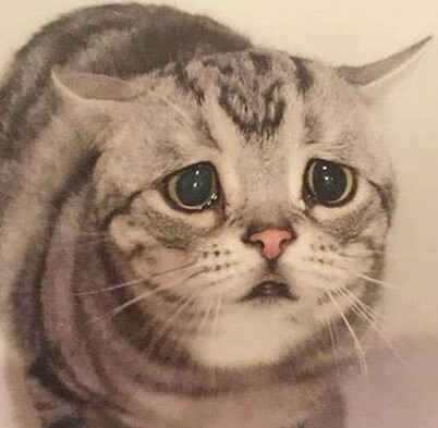 이번 주말에 일하는 분?