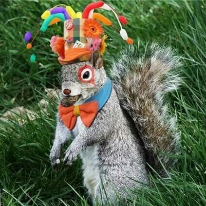 🐿️..애니멀 스피릿이란 ? 무지성 매매, 감각의 투자를 하는 람지.