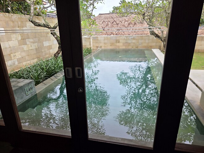 🐿️..애니멀 스피릿이란 ? 무지성 매매, 감각의 투자를 하는 람지.