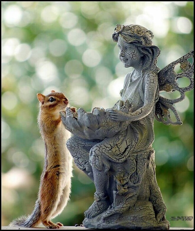 오늘은 홀로코스트 희생자 추모의 날입니다 !