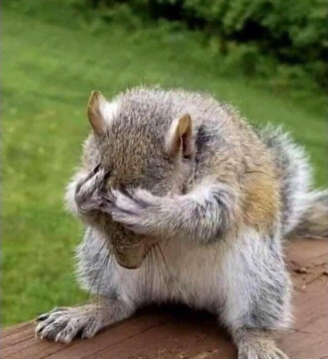 🐿️..수익은 짧고 손실은 길었던 이유, 손실회피편향 !  (feat. 잡주 제타)