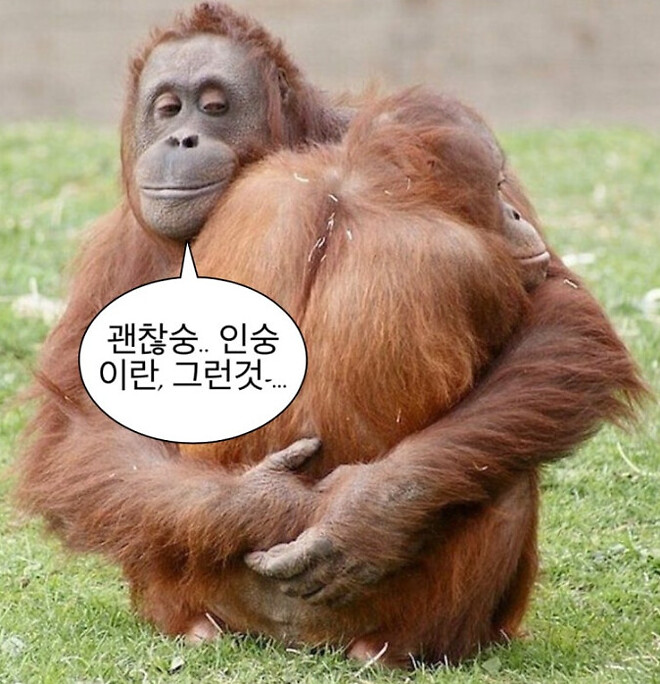 🐿️..수익은 짧고 손실은 길었던 이유, 손실회피편향 !  (feat. 잡주 제타)