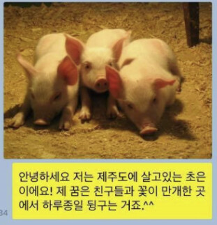 우리 슈카형 또 몰매맞게 생겨써ㅠㅠ