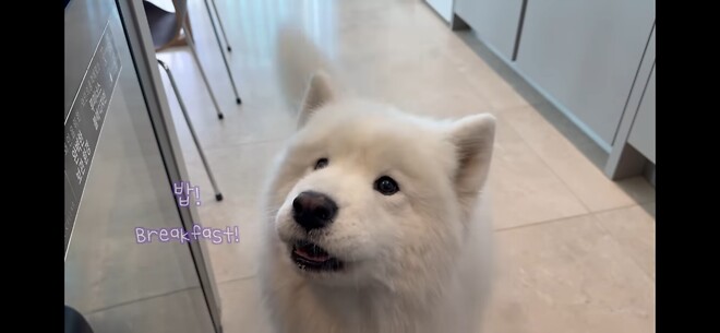 오늘 같은 날 보기 좋은 힐링짤