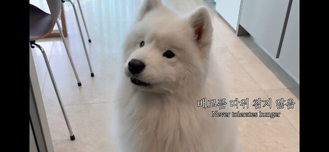 오늘 같은 날 보기 좋은 힐링짤