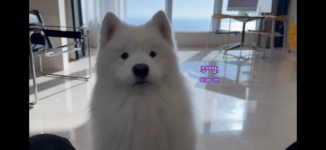 오늘 같은 날 보기 좋은 힐링짤