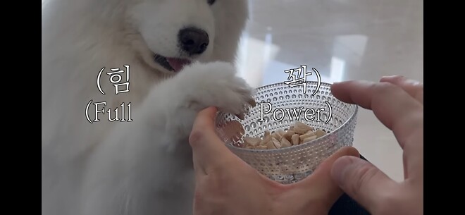 오늘 같은 날 보기 좋은 힐링짤