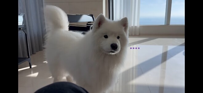 오늘 같은 날 보기 좋은 힐링짤