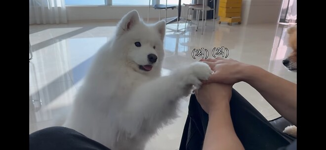 오늘 같은 날 보기 좋은 힐링짤