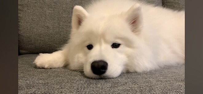 오늘 같은 날 보기 좋은 힐링짤