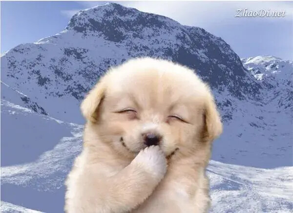 개죽 코어를 타고 싶은 나