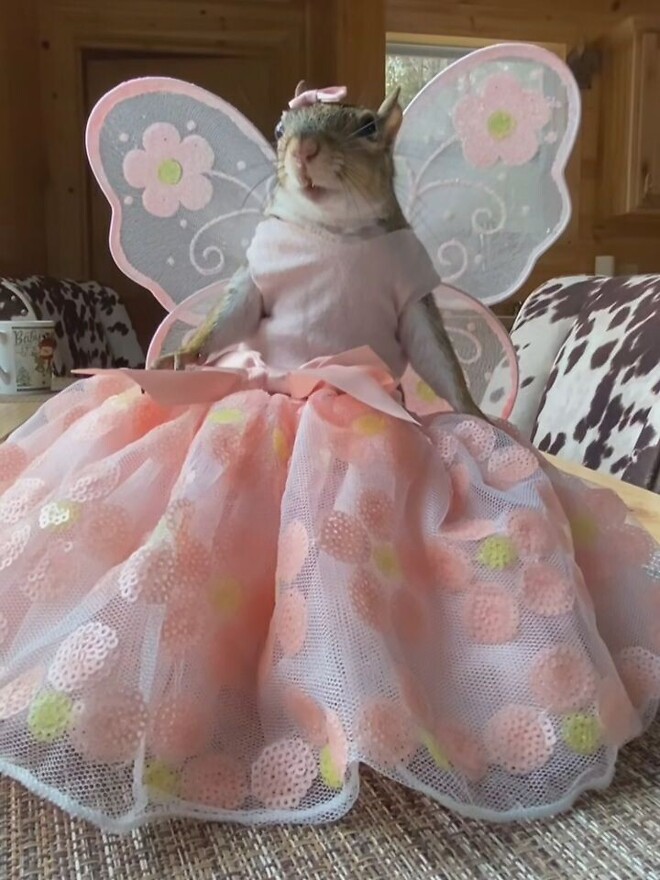 🐿..퀸의 마인드 장착.. 형들 해치우고 올게..!!