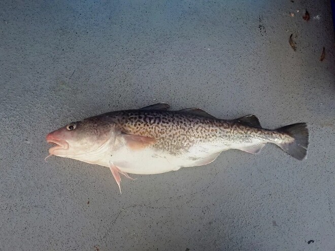 대구 오픈 기원  82일차&hearts;︎