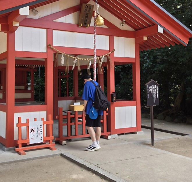 아디다스 EVO SL 13만원!