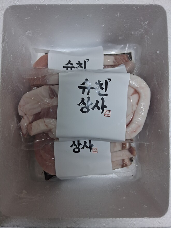 잘 도착한 돼지들