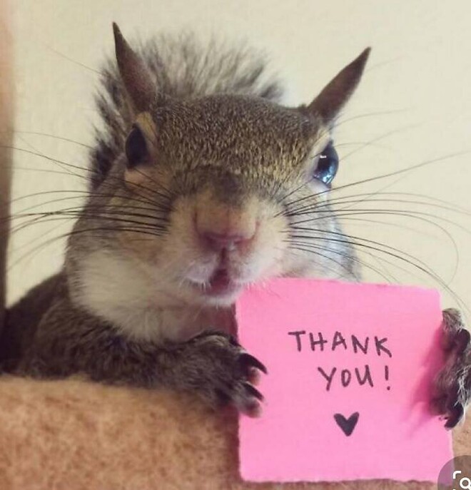 🐿️..육식람지의 흑돼지 오겹살 후기 (흑돼지 더 내달라!!)