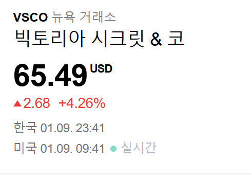 빅토리아 시크릿 VSCO